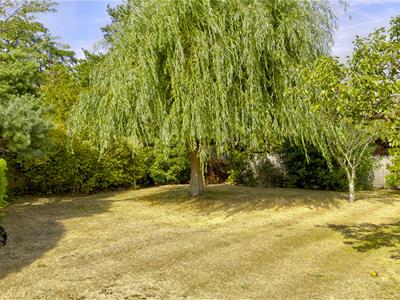 Picture 42